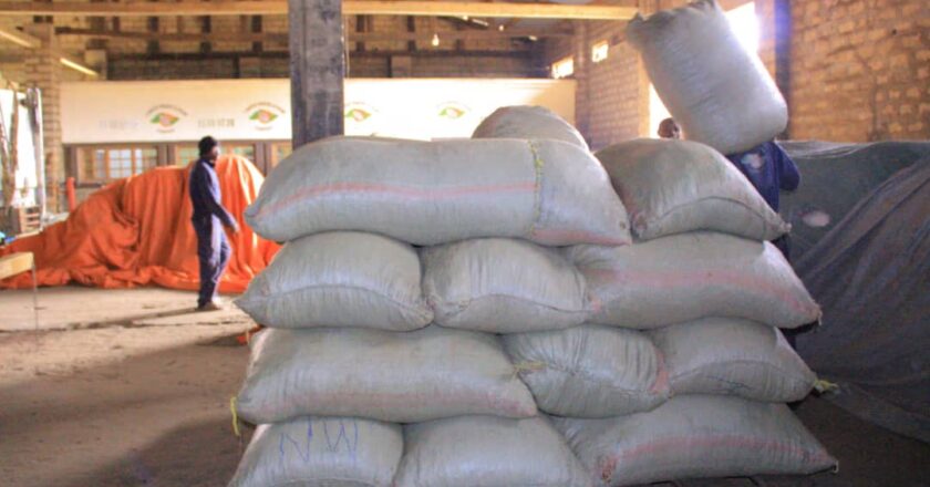 Beni : 47 colis de cacao contenant plus de trois tonnes saisis par l’ONAPAC