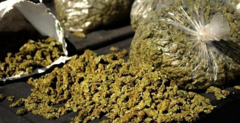 Beni : 35 personnes interpellées lors d’une opération antidrogue à Mbau