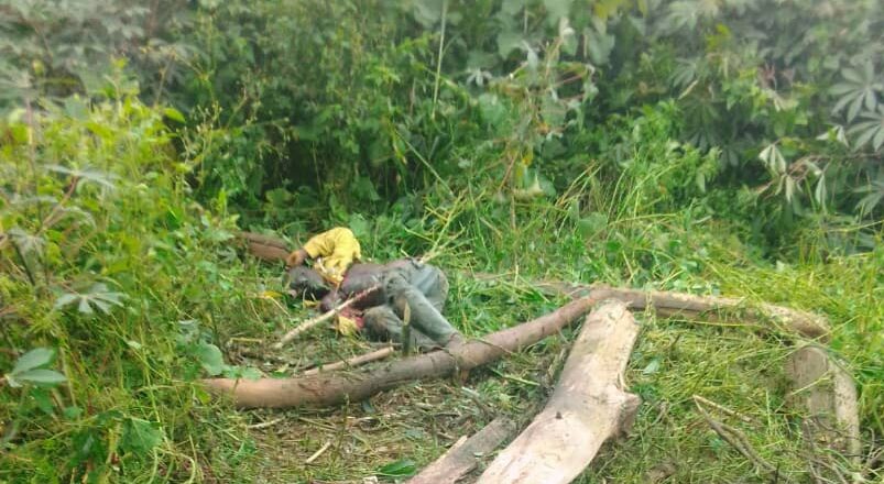 Mambasa : Deux jeunes tués dans l&rsquo;explosion d&rsquo;une bombe à Bukulani