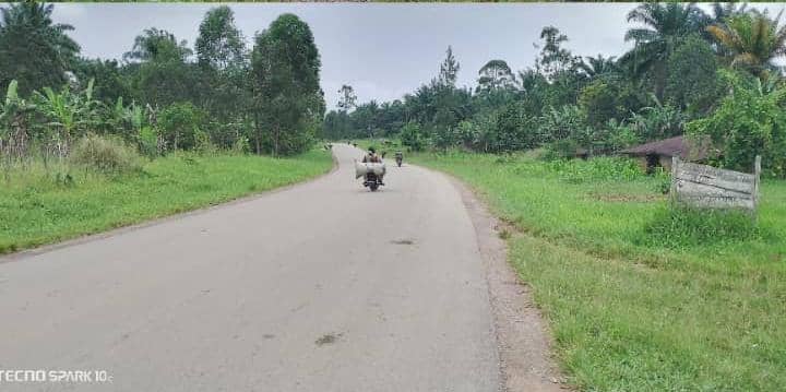 Mukoko, 2 octobre 2014 : l’histoire d’une amitié trompeuse qui a ouvert la voie au massacre