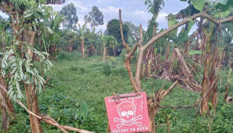 Beni : un engin explosif découvert à Nzenga, la population appelée à la vigilance