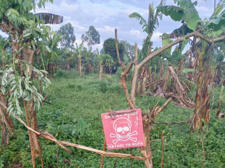 Beni : un engin explosif découvert à Nzenga, la population appelée à la vigilance