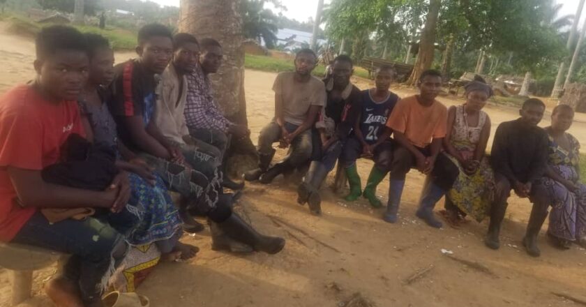 Beni : quatorze ex-otages échappent aux ADF à Mamove