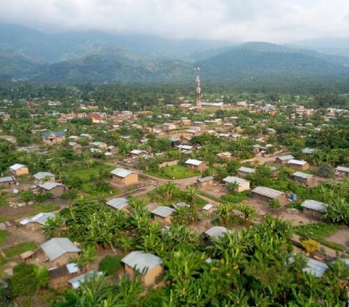 Beni : quatorze ex-otages échappent aux ADF à Mamove