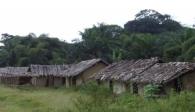 Nord-Kivu : la société civile de Baswagha-Lubena en mission sécuritaire à Lubero après le forum sur les ADF