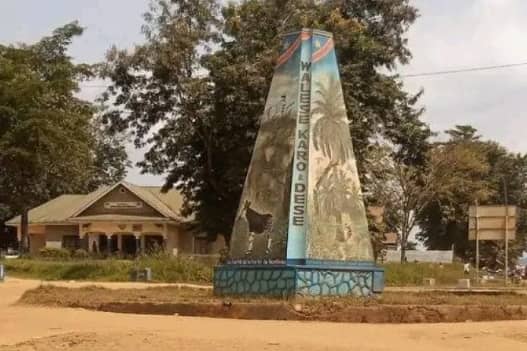 Mambasa : 7 otages des ADF libérés à Mutchanga grâce aux opérations conjointes FARDC-UPDF