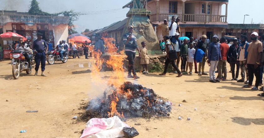 Beni : une importante cargaison de chanvre et d’autres stupéfiants incinérée à Cantine