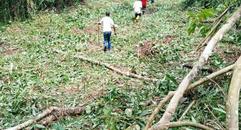 Beni : la société civile plaide pour la reprise des travaux de la route Kikingi–Mwenda
