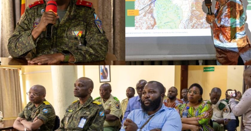 Nord-Kivu : vers une révision de la loi sur le Parc des Virunga