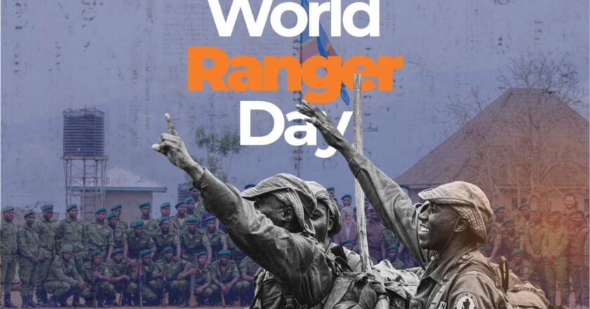 Journée mondiale des Rangers : l&rsquo;ICCN célèbre le courage des écogardes du Parc des Virunga